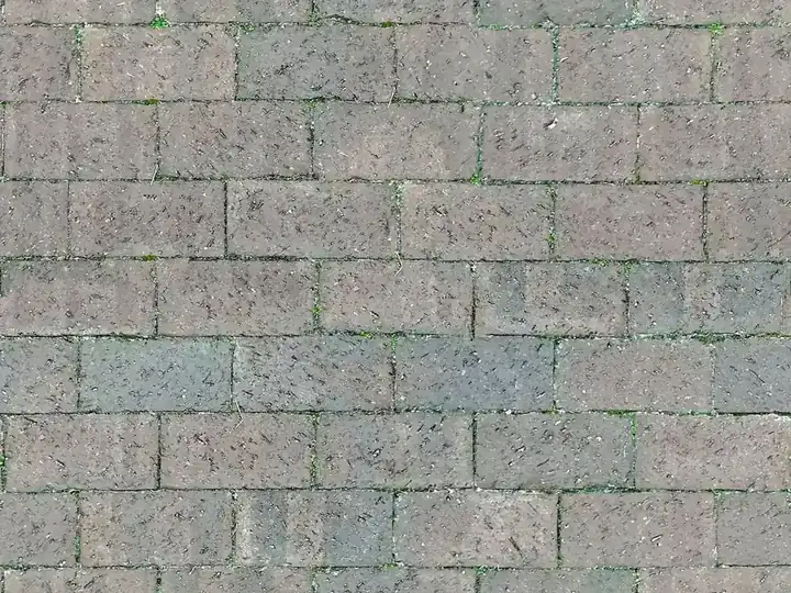 Betonklinkers met plekken mos in de voegen, het soort aanslag waar hogedrukreinigen in Rotterdam mee begint
